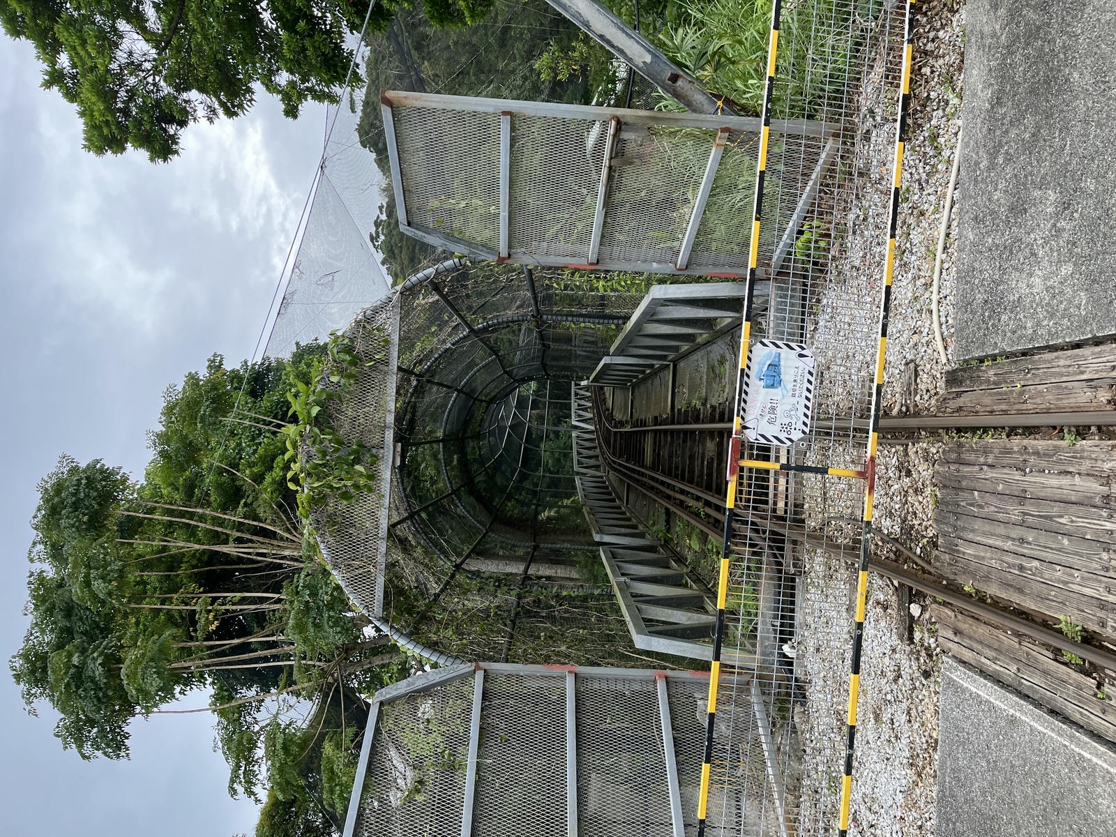Neo Park 沖繩名護自然動植物園 | 放養動植物園 | 可以摸水豚好玩又便宜 - 第30張圖 Neo Park 沖繩名護自然動植物園 | 放養動植物園 | 可以摸水豚好玩又便宜