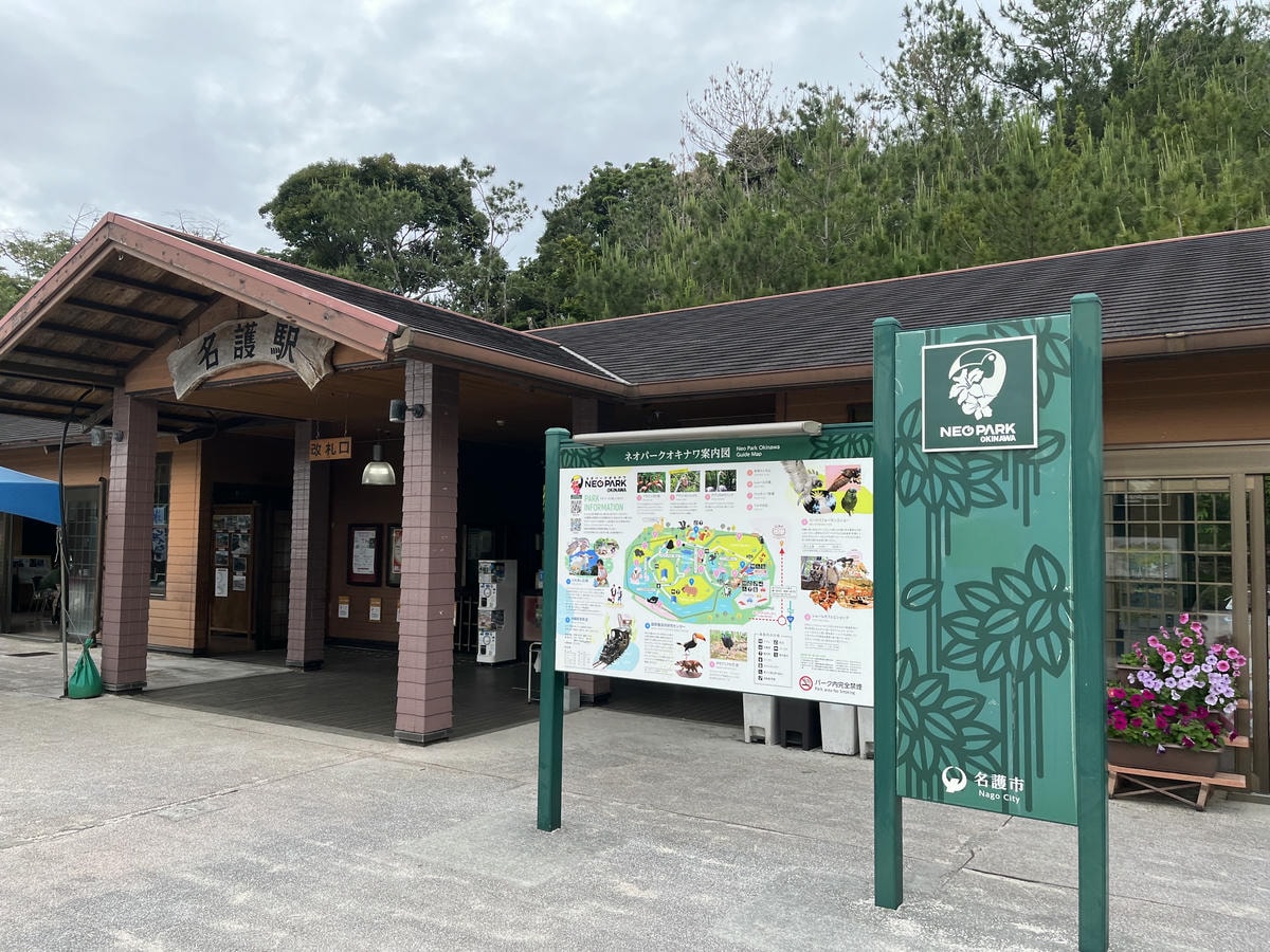 Neo Park 沖繩名護自然動植物園 | 放養動植物園 | 可以摸水豚好玩又便宜 - 第34張圖 Neo Park 沖繩名護自然動植物園 | 放養動植物園 | 可以摸水豚好玩又便宜