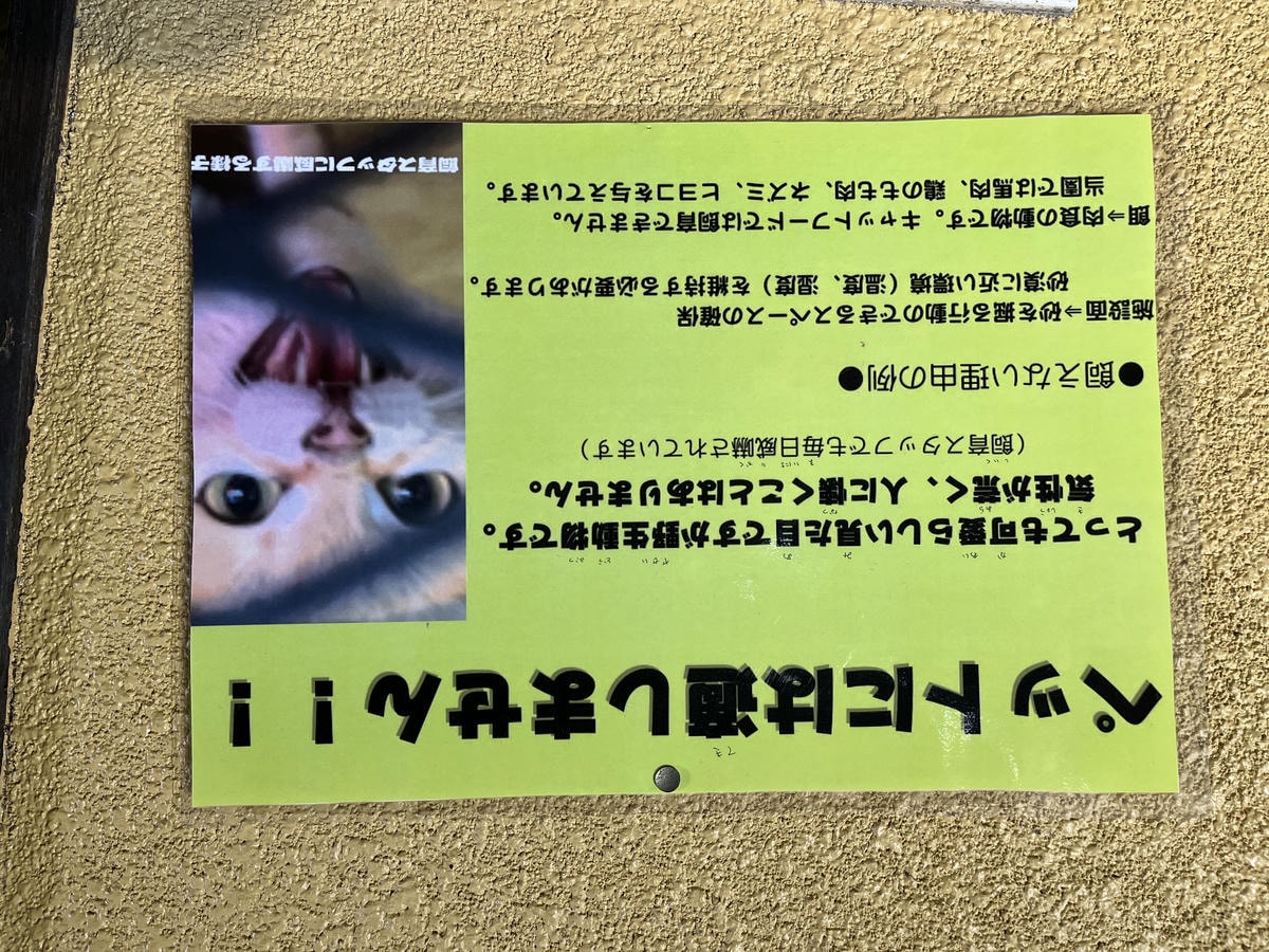 Neo Park 沖繩名護自然動植物園 | 放養動植物園 | 可以摸水豚好玩又便宜 - 第5張圖 Neo Park 沖繩名護自然動植物園 | 放養動植物園 | 可以摸水豚好玩又便宜