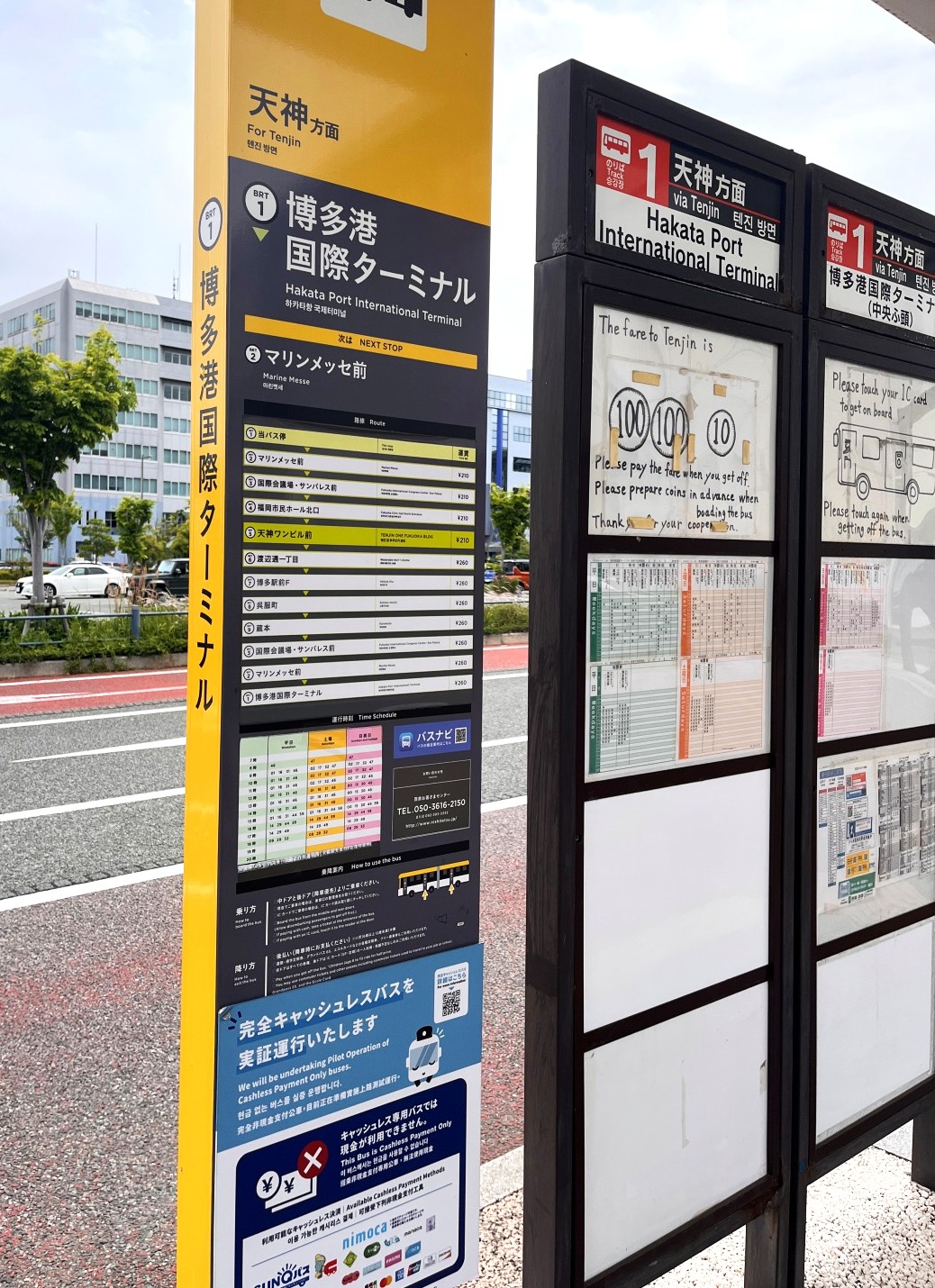 麗星郵輪 探索星號 基隆登船 | 日本海關港口通關分享 | 搭郵輪會一直排隊嗎?