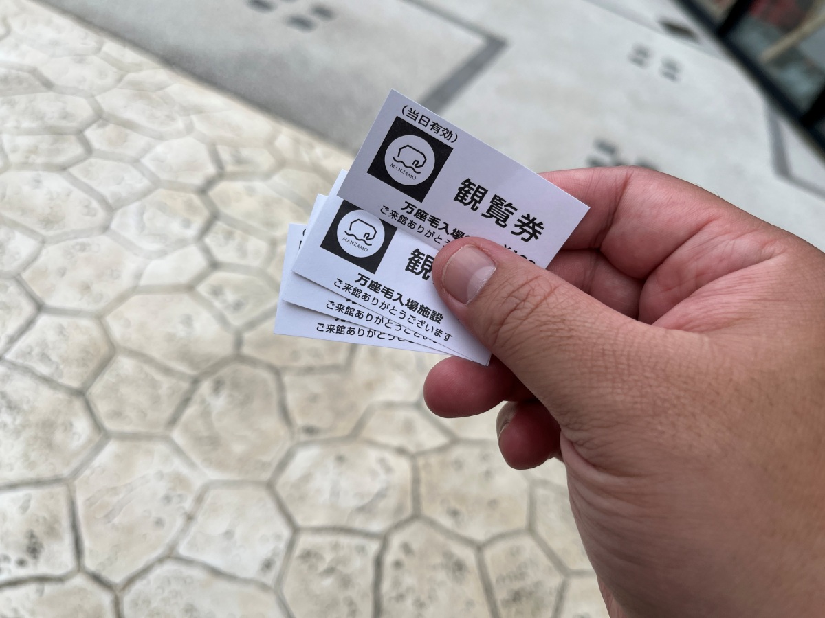 萬座毛 沖繩 | 獨特地質景觀海岸國定公園 | 沖繩自駕游好停車 | 萬座毛門票