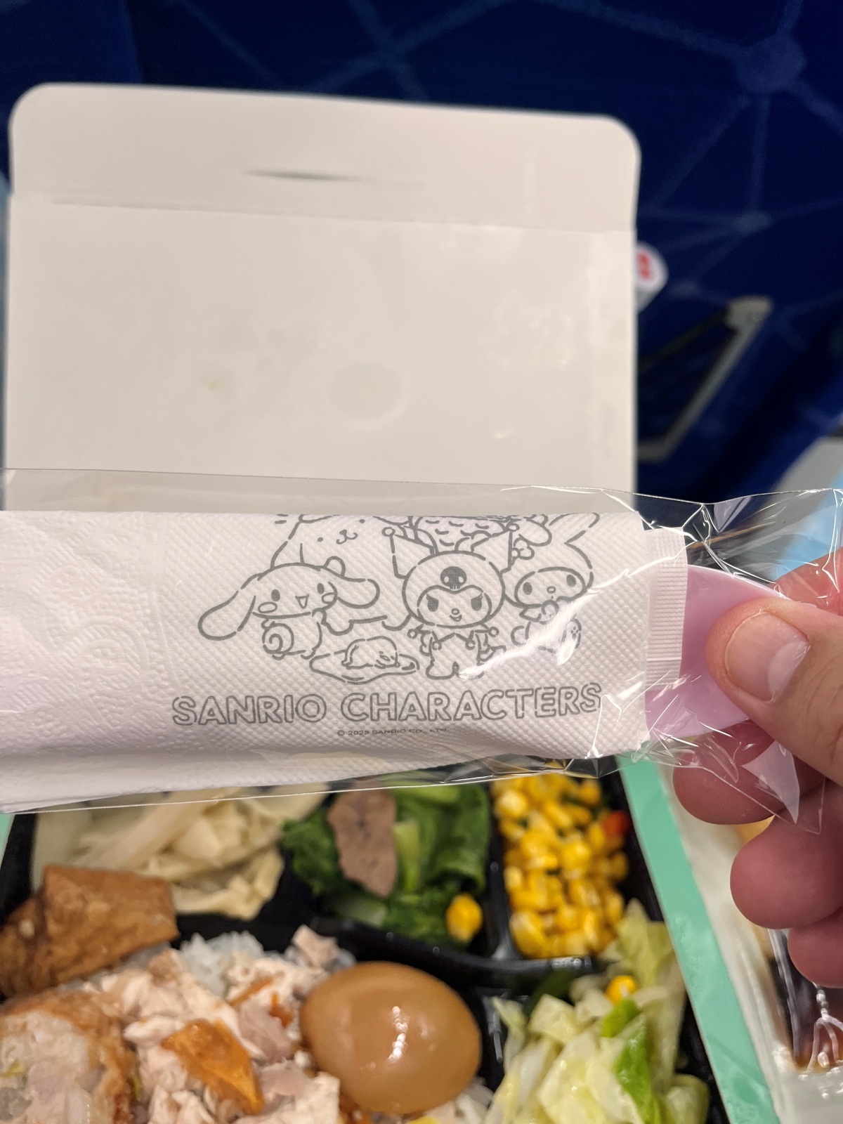 環島之星萌旅號三麗鷗 | 特色餐點商務艙座椅體驗全攻略 - 第28張圖 環島之星萌旅號三麗鷗 | 特色餐點商務艙座椅體驗全攻略
