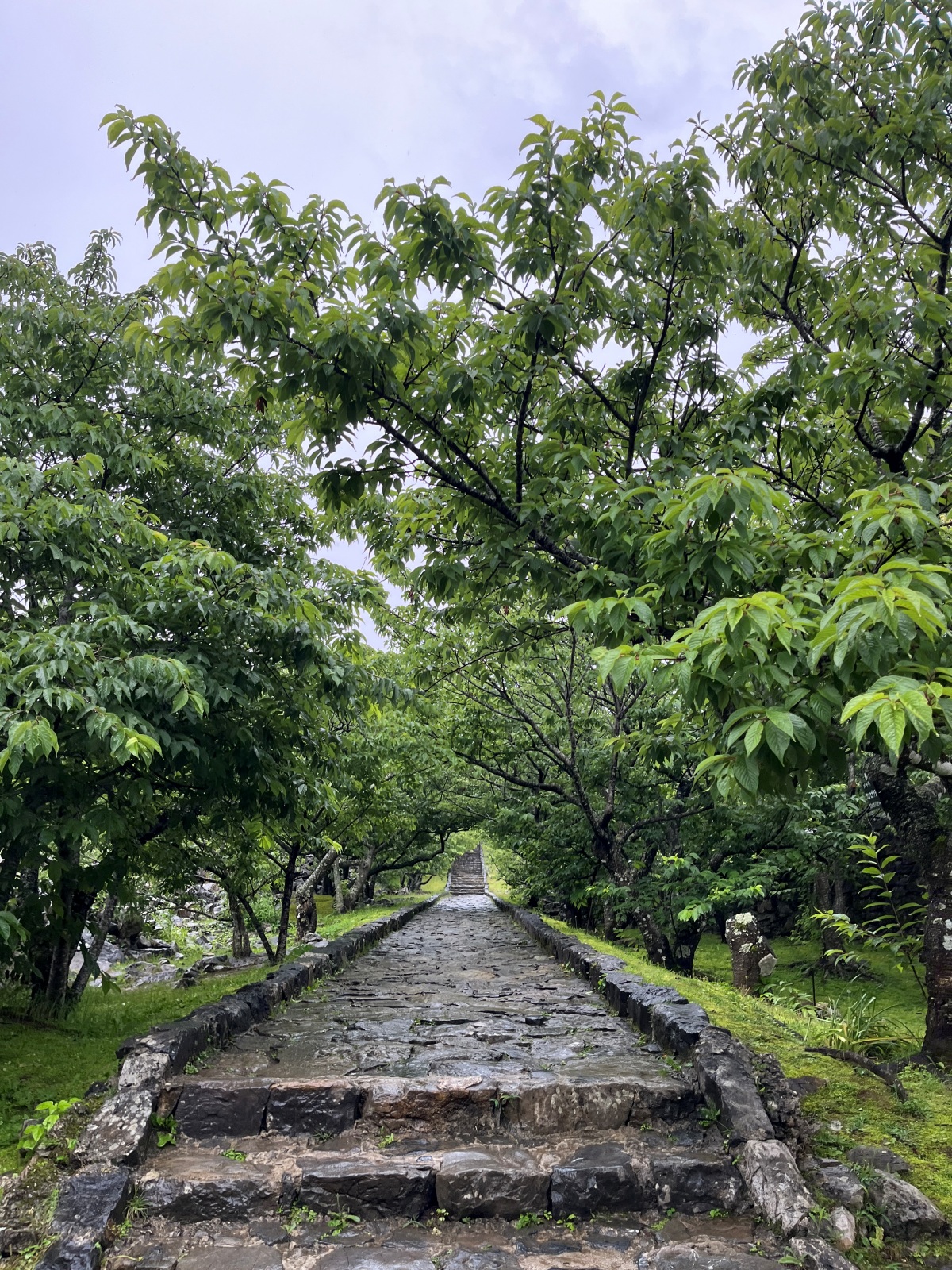 沖繩 今歸仁城跡 | 琉球王國御城及相關遺產群 | 沖繩北部代表性的世界遺產景點 - 第9張圖 沖繩 今歸仁城跡 | 琉球王國御城及相關遺產群 | 沖繩北部代表性的世界遺產景點