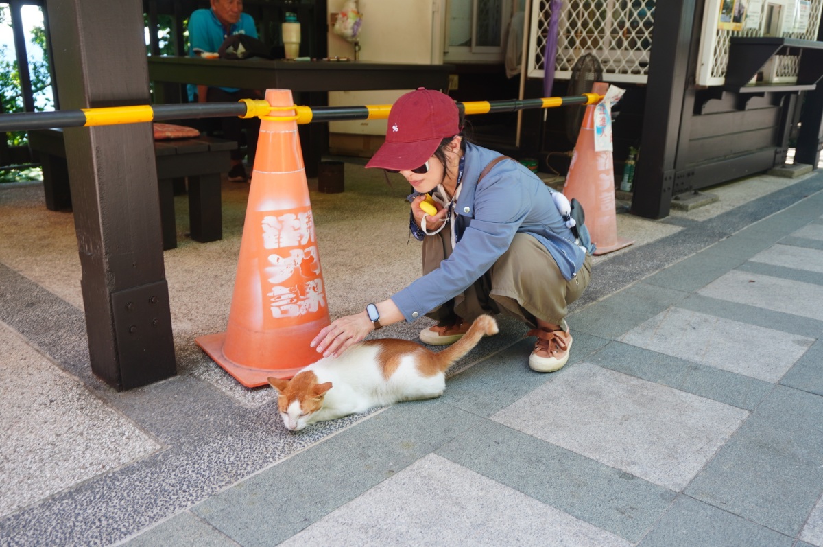 台灣好行 大鵬灣琉球線 | 免開車左營高鐵玩小琉球 | 小琉球環島線日票任搭只要100 - 第24張圖 台灣好行 大鵬灣琉球線 | 免開車左營高鐵玩小琉球 | 小琉球環島線日票任搭只要100