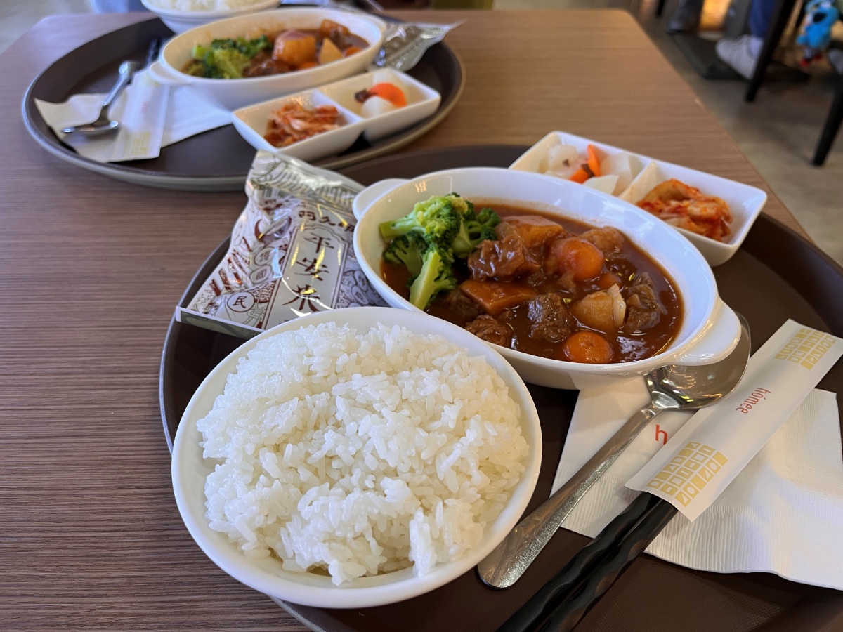 美國聯合航空 高雄-東京成田 737Max8 | 早去晚回傳統航空 | 高雄飛東京推薦 | UA838 - 第10張圖 美國聯合航空 高雄-東京成田 737Max8 | 早去晚回傳統航空 | 高雄飛東京推薦 | UA838